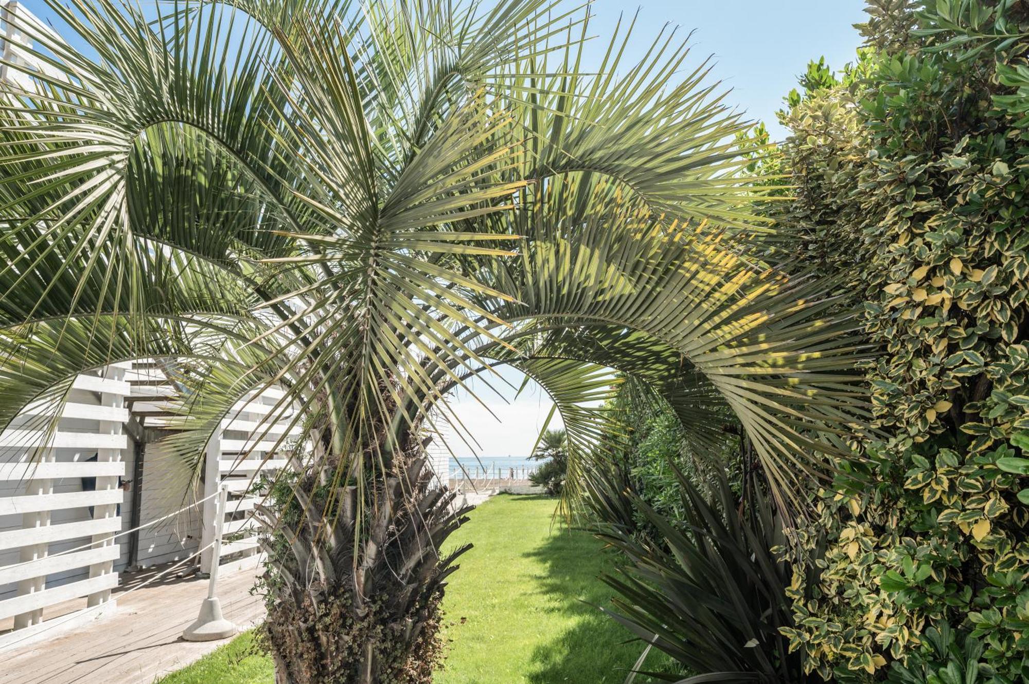 Terme Beach Resort Punta Marina Exteriör bild