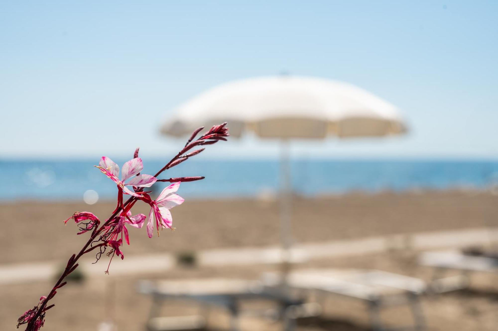 Terme Beach Resort Punta Marina Exteriör bild